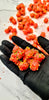 Freeze Dried Candy 