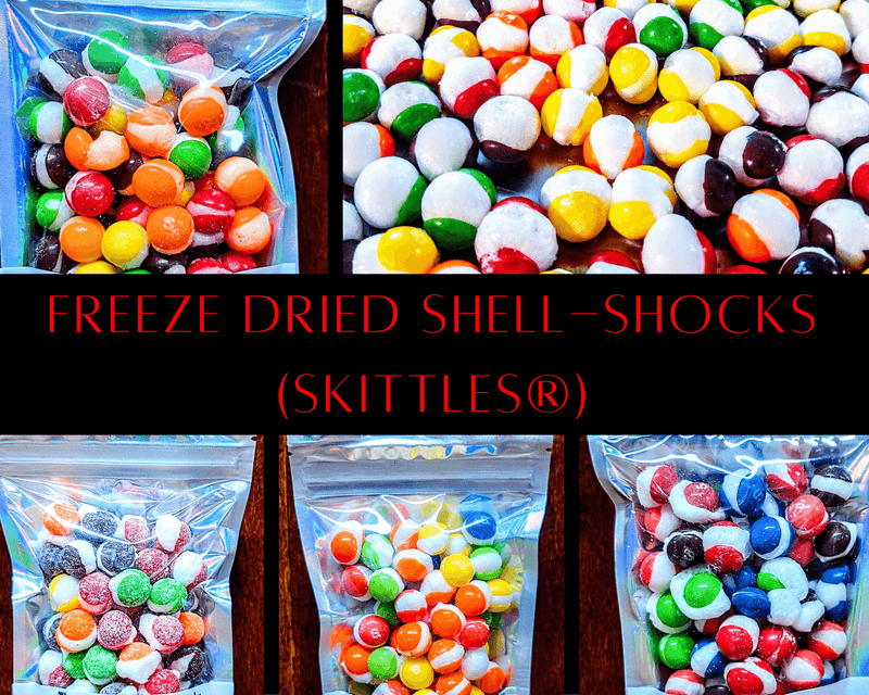 Freeze Dried Shell-Shocks Bundle - The Freeze Dried Candy Store